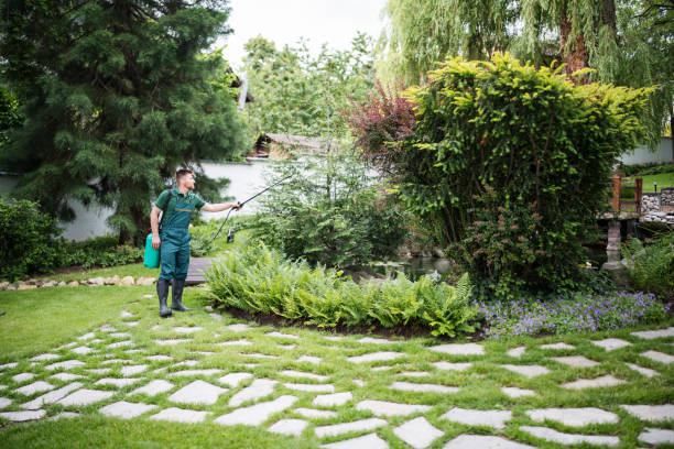 Best Pest Control for Lawns  in Tioga, TX